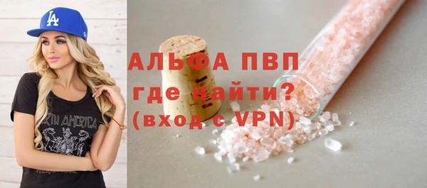 гашик Арсеньев