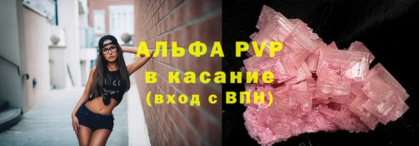 гашик Арсеньев