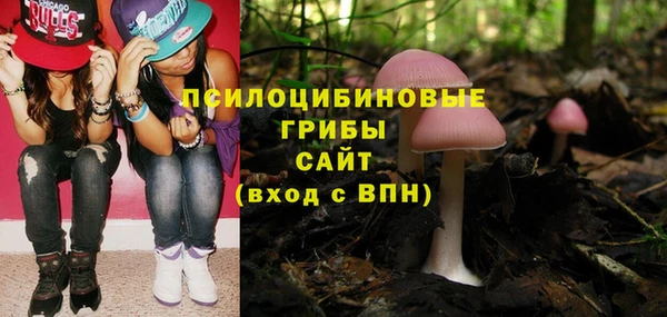 гашик Арсеньев