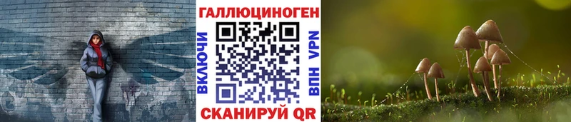 Галлюциногенные грибы Psilocybine cubensis  Рыбное 
